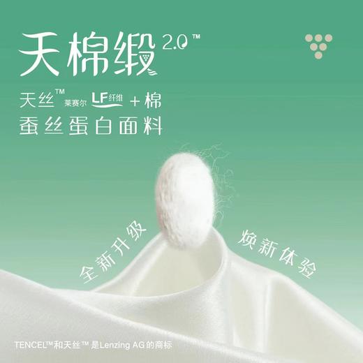 自然醒轻奢LF级进口兰精天丝棉四件套丝绸缎被套蚕丝棉床单丝滑夏季金太阳床品礼盒装KY 商品图7