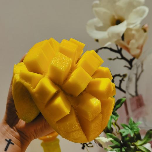 [屁侠推荐]细腻金黄肉 核薄肉厚 清甜多汁 海南芒果 精品金煌芒 商品图0