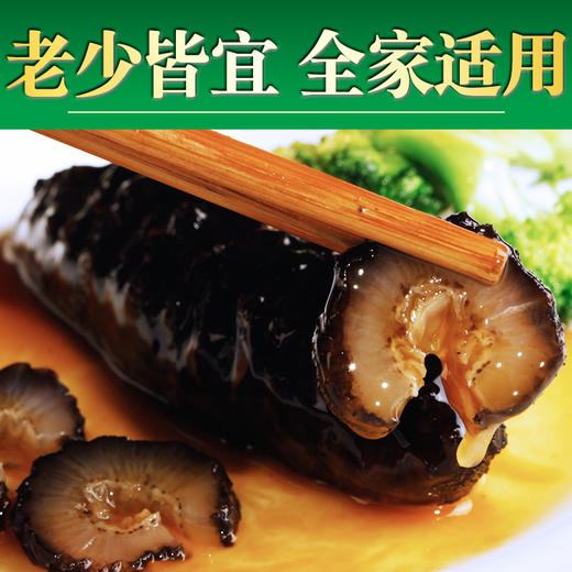 优选|即食精品米刺海参  8-12头 免泡发  肉厚肥美 内筋粗壮 Q弹有韧劲  500g/袋 商品图1