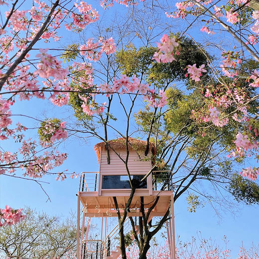 福建鲤鱼洲酒店-赏花/观鸟/国宾馆探索之旅 商品图3