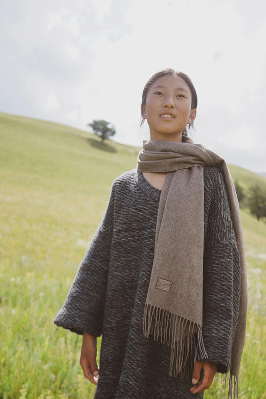 饮水鸟  藏地纹样牦牛绒围巾 商品图3