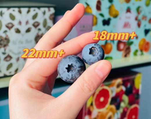 巨无霸「花香蓝莓」！营养健康无农残，低糖养颜护视力 商品图1