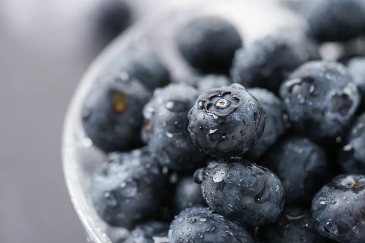 巨无霸「花香蓝莓」！营养健康无农残，低糖养颜护视力