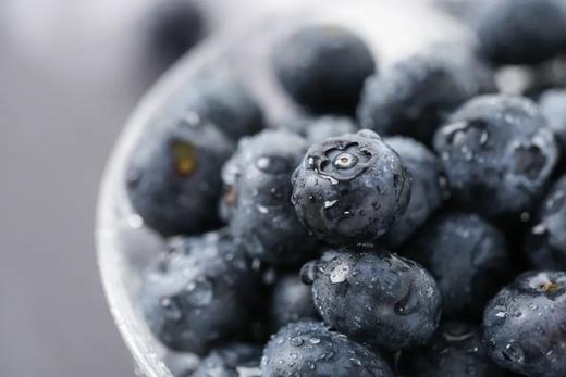 巨无霸「花香蓝莓」！营养健康无农残，低糖养颜护视力 商品图0