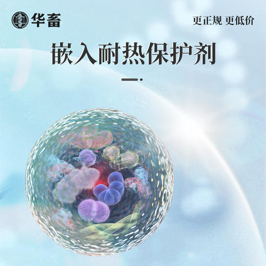 华畜弧克 防控弧菌净化水质  生物制剂水产专用 商品图4