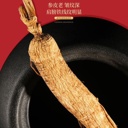 福东海 长白山5年林下参50克礼盒 生晒干人参整枝 煲汤补品泡酒材料 富含人参皂苷送长辈父母礼盒 商品图3