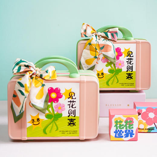 女神节礼盒 双色行李箱 商品图4