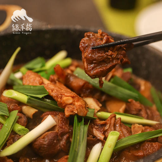 生态马岗鹅 | 合作生产* Eco- goose | Copruduction 商品图1