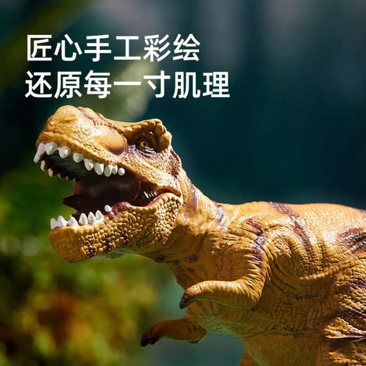 mideer弥鹿MD6226大尺寸仿真恐龙模型-霸王龙 商品图2