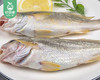 本港冰鲜加网鱼（杀好）/1份（7-9条，共400-450g） 商品缩略图3