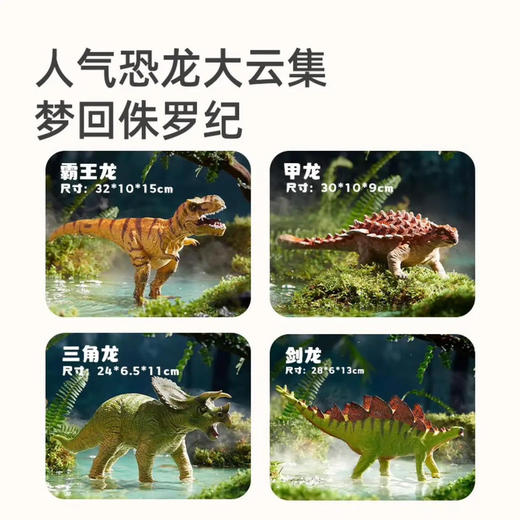 mideer弥鹿MD6227大尺寸仿真恐龙模型-三角龙 商品图3
