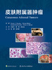 皮肤附属器肿liu 2023年2月参考书 9787117342216 商品缩略图1