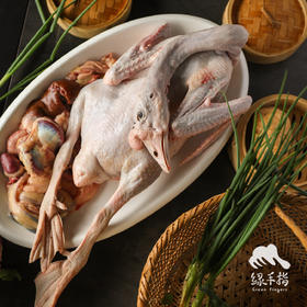 生态马岗鹅 | 合作生产* Eco- goose | Copruduction