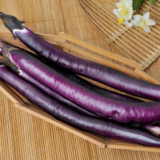 有机长茄500g 商品图3