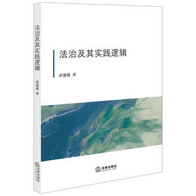 法治及其实践逻辑  武建敏著