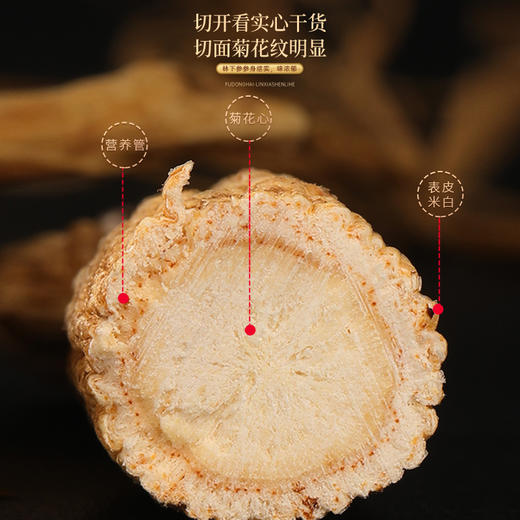 福东海 长白山5年林下参50克礼盒 生晒干人参整枝 煲汤补品泡酒材料 富含人参皂苷送长辈父母礼盒 商品图4