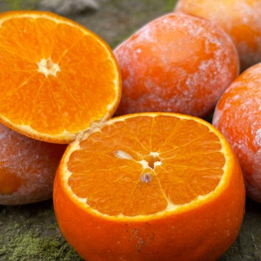 【广西茂谷柑】网红脏脏柑，皮薄肉厚爆汁！黄金酸甜比，带你体验深山“酿”出来的甜蜜~ 商品图10