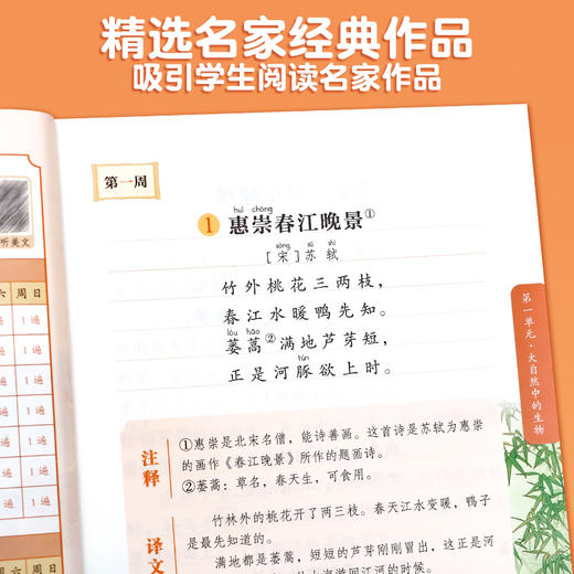 【斗半匠】语文晨读美文小学1-6年级上下册 商品图3