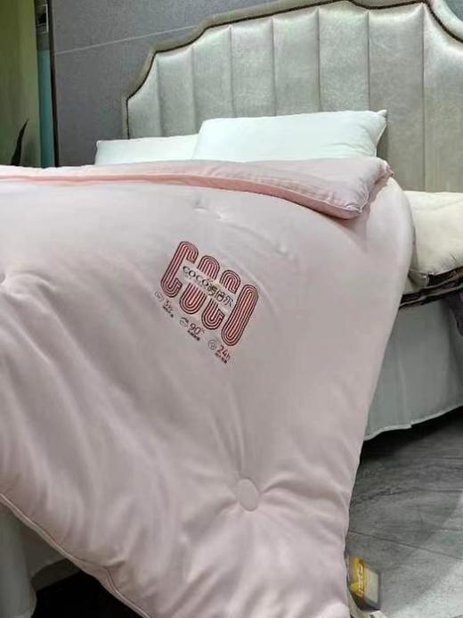 南五楼朵庭暖倍尔热芯冬被 商品图1