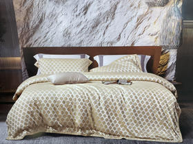 5F千伯伦天丝棉四件套220X240cm