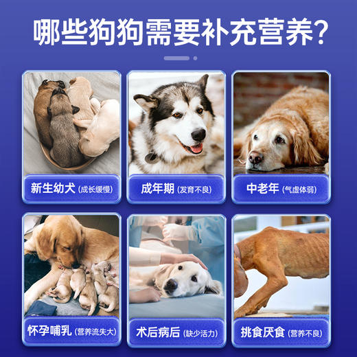 【U+系列】MAG乳铁蛋白营养膏-有助猫咪狗狗增强免疫力幼猫幼犬哺乳孕期补充营养 商品图7