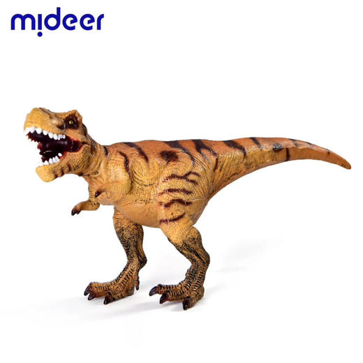 mideer弥鹿MD6226大尺寸仿真恐龙模型-霸王龙 商品图0