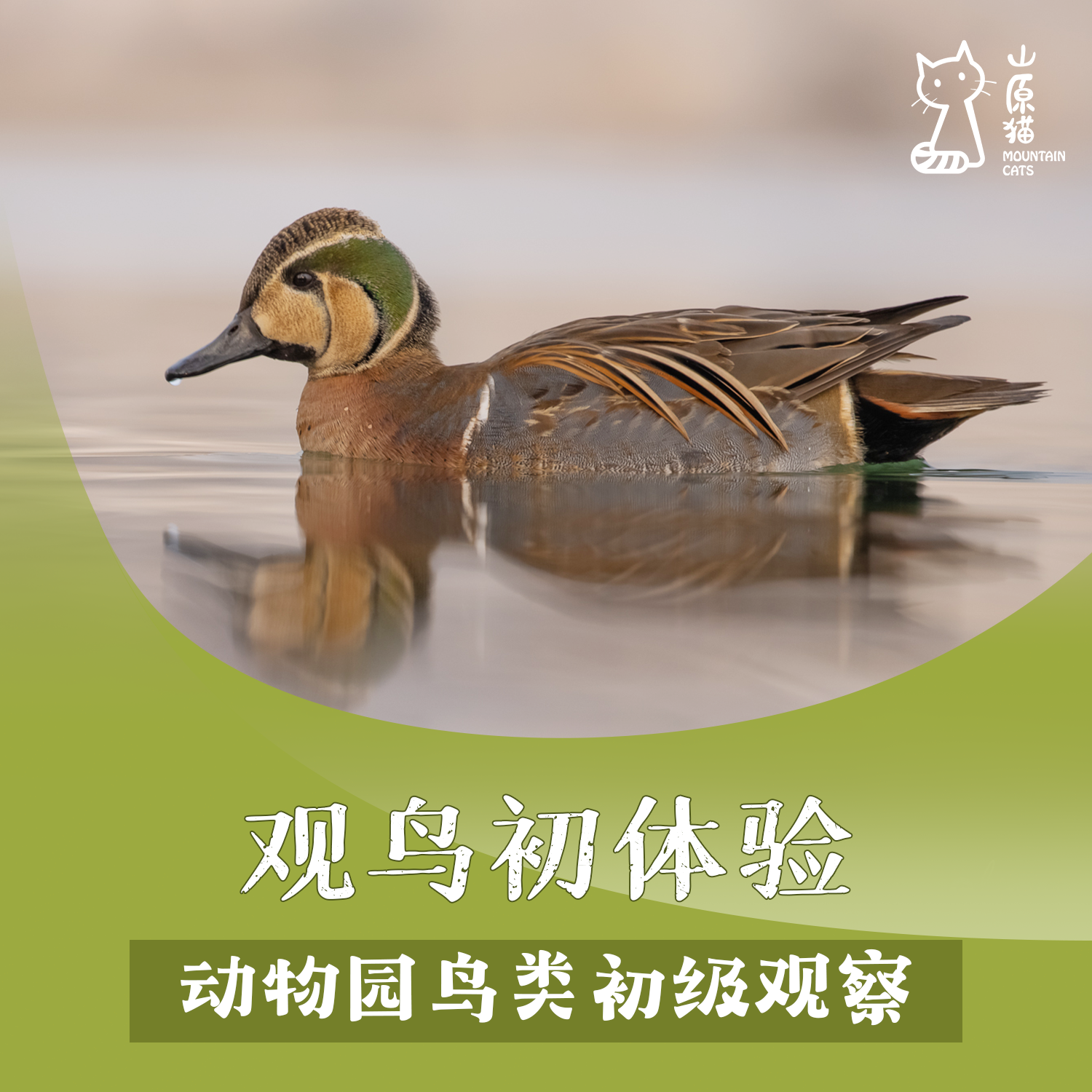 「04月18日 周六下午」观鸟初体验 · 动物园鸟类初级观察