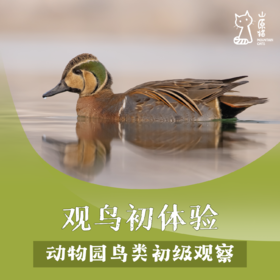 「04月18日 周六下午」观鸟初体验 · 动物园鸟类初级观察