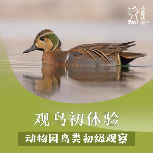 「04月18日 周六下午」观鸟初体验 · 动物园鸟类初级观察 商品图0
