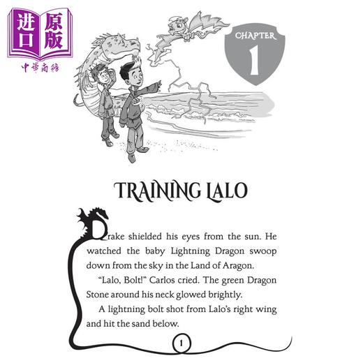 【中商原版】Dragon Masters 22 Guarding the Invisible Dragons 驯龙大师22 学乐大树Branches 英文原版 儿童小初文学章节书 商品图2