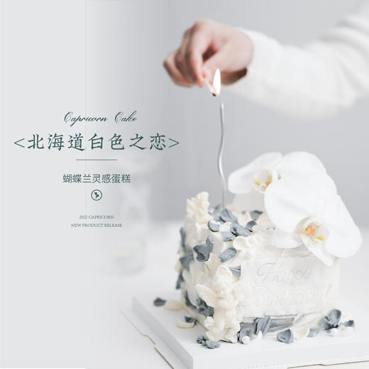 北海道白色之恋 | 香草奶油芒果夹心 | 左羊 商品图0