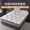 雅芳婷床垫家居床上用品马毛质感床褥面垫LN050 商品缩略图0