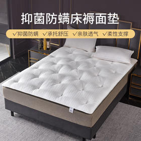 雅芳婷床垫家居床上用品马毛质感床褥面垫LN050