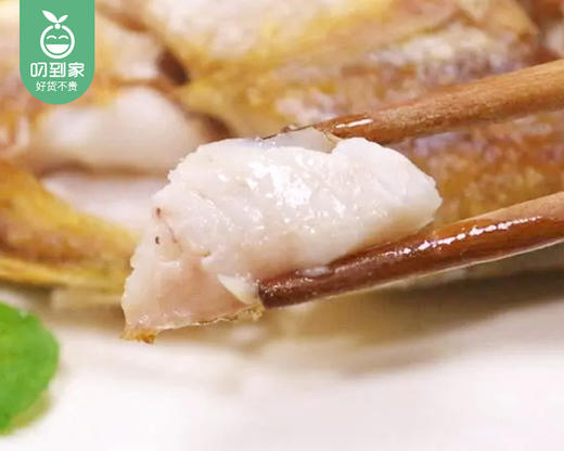 本港冰鲜加网鱼（杀好）/1份（7-9条，共400-450g） 商品图2