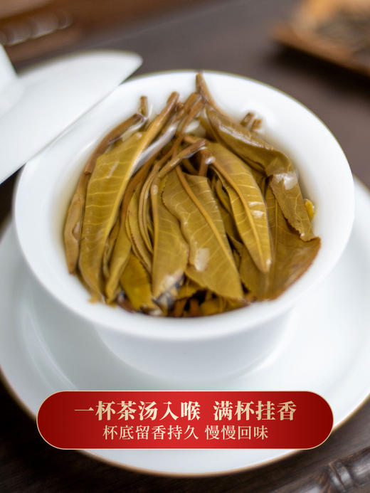 【春茶】【小户赛】2023年云南普洱茶生茶临沧茶区小户赛357克/饼 商品图1