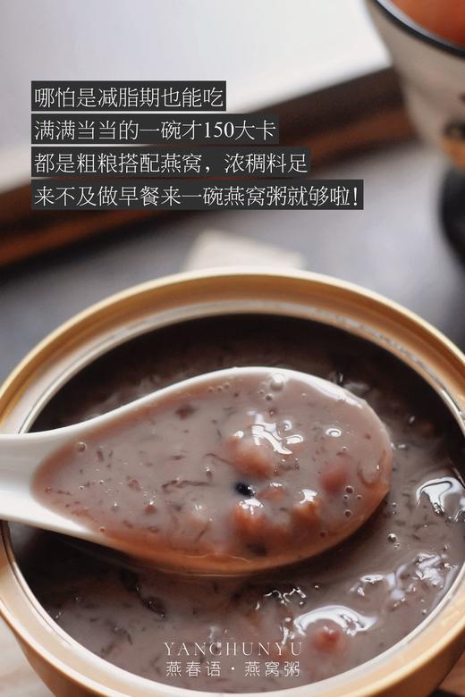 燕春语 元气燕窝粥 100%印尼进口燕窝 0香精0增稠剂0防腐剂 252g*6碗 [福利品] 商品图4