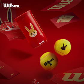 Wilson 兔年限定纪念网球 比赛训练网球（2粒装）