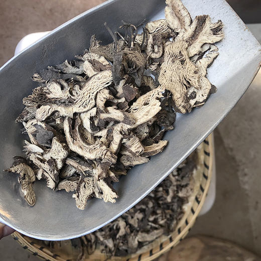 升麻 选装升麻  统货规格 商品图4