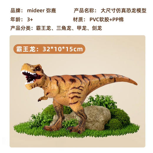 mideer弥鹿MD6226大尺寸仿真恐龙模型-霸王龙 商品图7