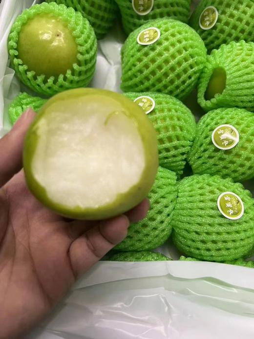 台湾雪蜜枣 | 水果 商品图0