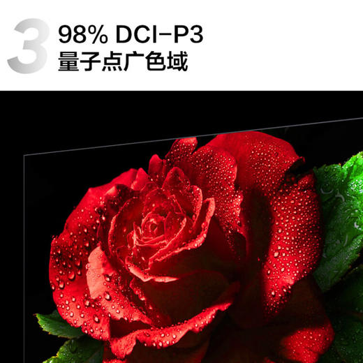 TCL电视 55Q10G 55英寸 金属全面屏电视 Mini LED 4K超高清 液晶平板电视机 以旧换新 55英寸 官方标配 商品图2