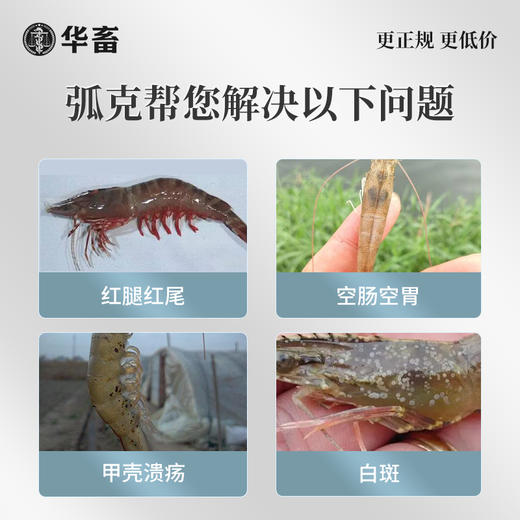 华畜弧克 防控弧菌净化水质  生物制剂水产专用 商品图2