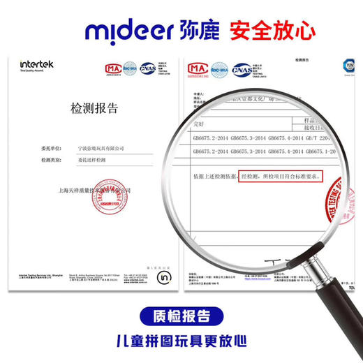 mideer弥鹿MD6226大尺寸仿真恐龙模型-霸王龙 商品图4