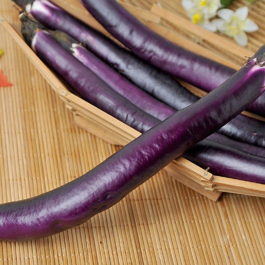 有机长茄500g 商品图5