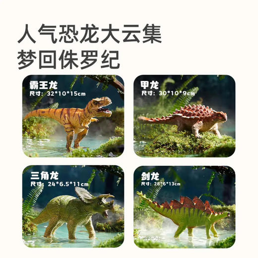 mideer弥鹿MD6226大尺寸仿真恐龙模型-霸王龙 商品图3