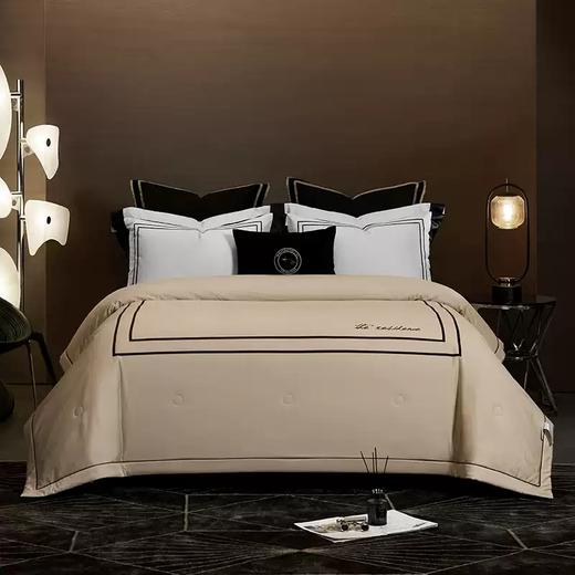 康尔馨空中宫邸系列23年新品夏凉被A类全棉纯棉抗菌被子头等舱款 商品图2