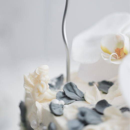 北海道白色之恋 | 香草奶油芒果夹心 | 左羊 商品图1