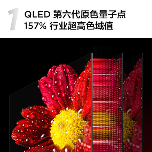 TCL电视 65T8E Max 65英寸 QLED量子点 超高清4K 远场语音 液晶平板电视 以旧换新 65英寸 官方标配 商品图1