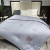 南五楼朵庭暖倍尔热芯冬被 商品缩略图0