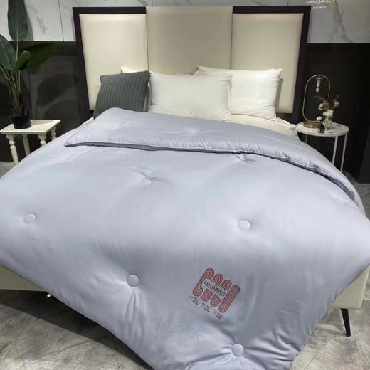 南五楼朵庭暖倍尔热芯冬被 商品图0